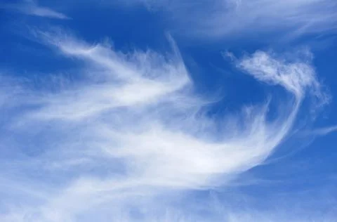 Wispy white cirrus clouds  Fotos Stock