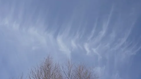 Wispy white cirrus clouds scattered across a deep blue sky Stock Footage 332434565
