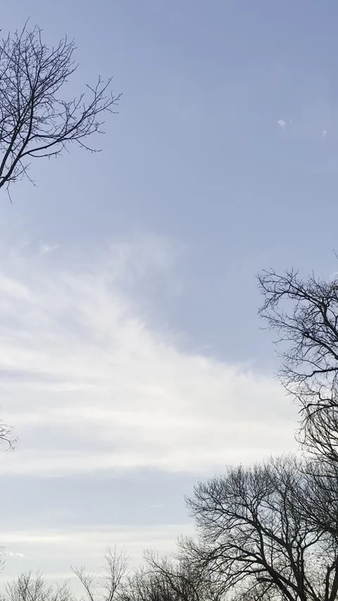 Wispy White Clouds in Blue Sky Framed by Bare Trees Video stock 344717286