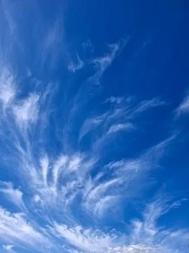 Wispy white clouds stretch across a deep blue sky on a sunny day with a gen.. Фото