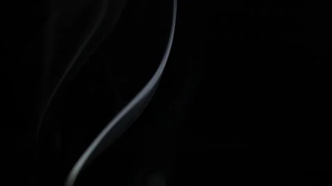 Wispy white smoke rising on a black background, abstract light effects and Stock Footage 341389157