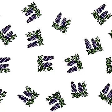 Wisteria liana vector seamless pattern Stock Illustration
