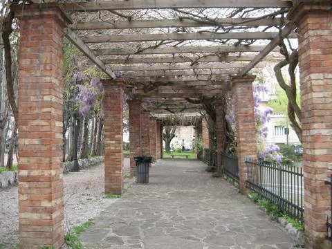 Wisteria Foto stock
