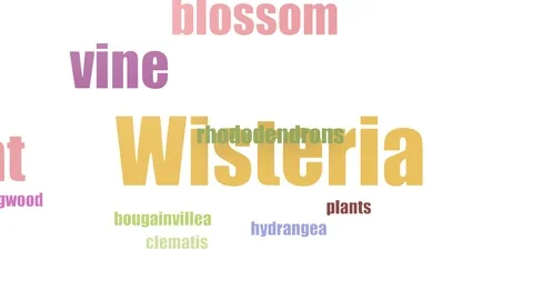 Wisteria Tagcloud Animated On White Background Stock Footage 107220099