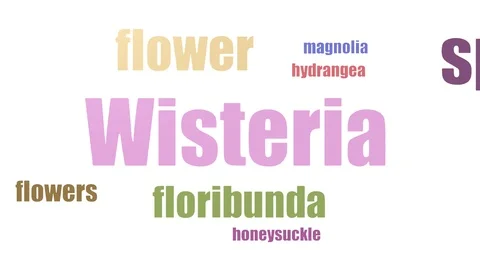 Wisteria Wordcloud Animated Isolated On White Stock Footage 103671932