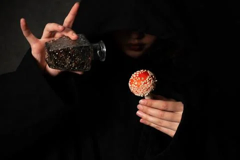 Witch with amanita Stock Photos