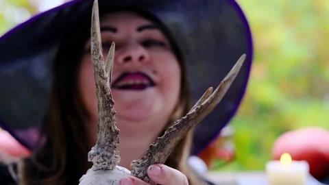 Witch in a black copack makes magic passes over a skull with horns of a sacri Stock Footage 141469448