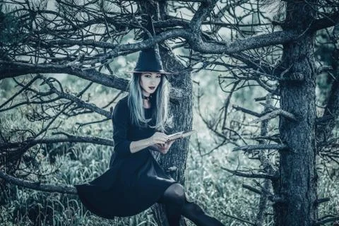 Witch with book in autumn forest Stock Photos