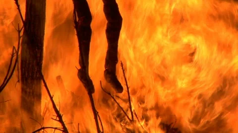 Witch burn slow 05 Video stock 20604962