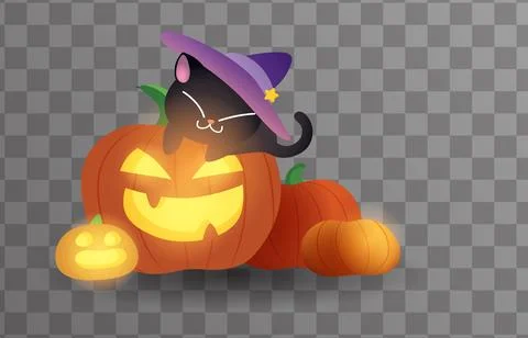 Witch cat on pumpkin Stock Illustration