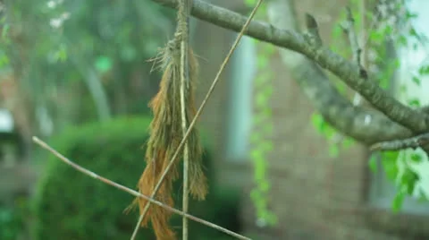 Witch craft witchcraft Stock Footage 22718143