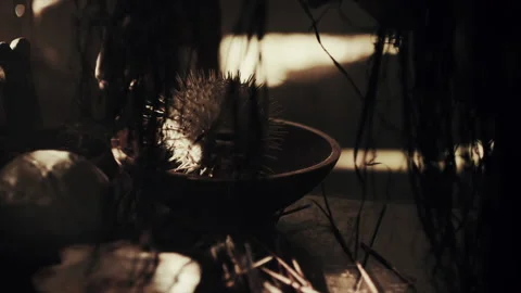 Witch doctor preparing concoction for a patient - Reenactment Stock Footage 202898275