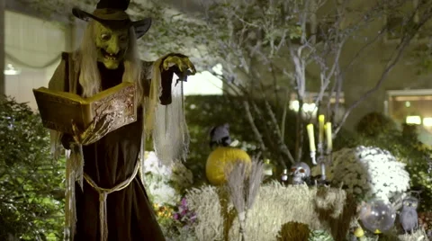 Witch Evil Wicked Hat Halloween Horror Spell Scary Stock Footage