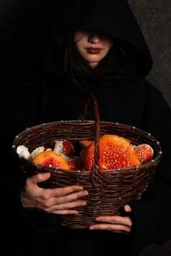 Witch with fly agaric Stock Photos
