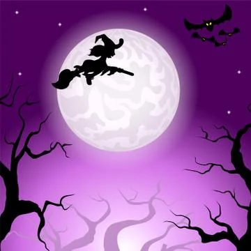 Witch flying over the moon Stock Illustration
