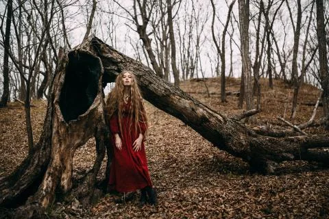 Witch in forest Foto stock