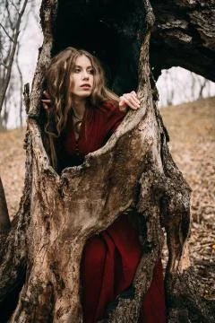 Witch in forest Stock Photos