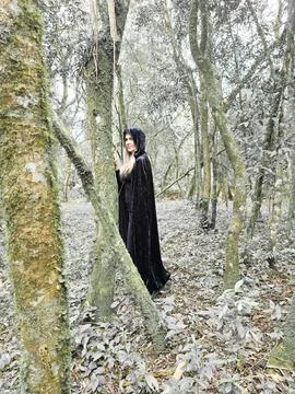 Witch in the forest Stock Photos