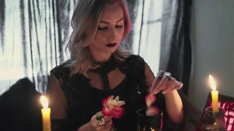 Witch fortune teller psychic picks the petals from a rose, throws them into Stock Footage 143509814