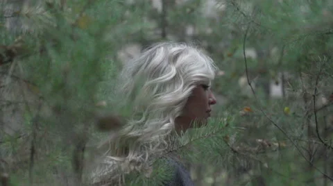 Witch goes through the woods Stock Footage 49019502