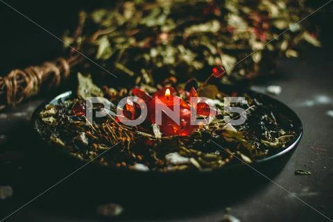 Witch grass in a plate Stock Photos