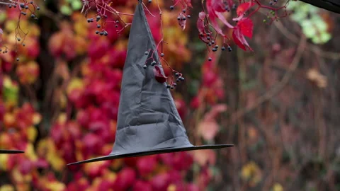 Witch hat with autumn leaves. Stock Footage 254015716