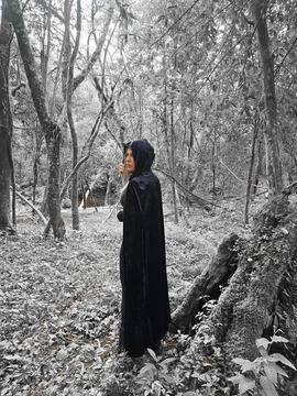 The Witch in the Haunted Forest Stock Photos