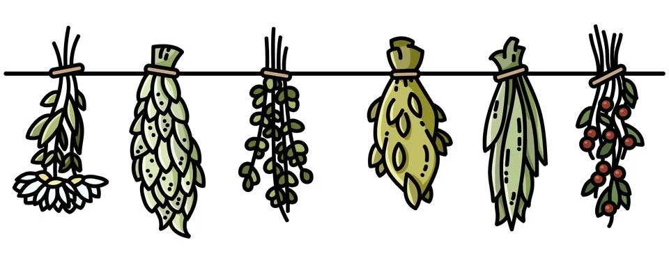 Witch herbs boho hanging flat style decoration Stockillustratie