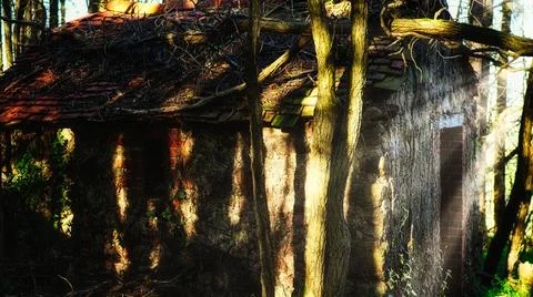 Witch hut Stock Photos