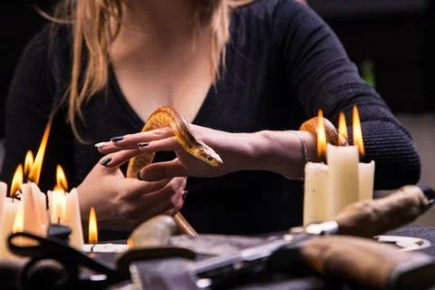 The witch keeps a snake in his hands for the ritual of voodoo Stock Photos