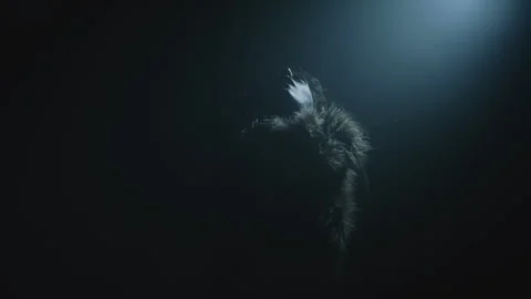 A witch performing a ritual dance 스톡 동영상 259860014