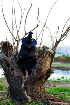 Witch rests Stock Photos