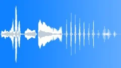 Witch Ringtone 1Sound Effect