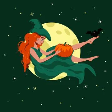 Witch sitting in front of the night sky with stars and moon full. 库存插图