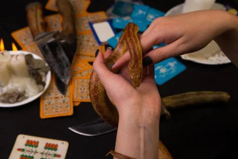 The witch spends a ritual with a snake Stock Photos