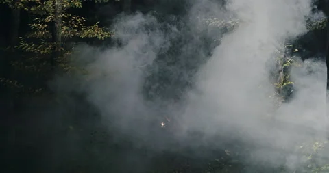 Witch walking through fume in forest Stock Footage 161911079