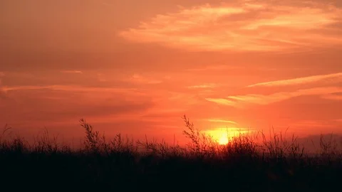 Witch walking at upward sun Stock Footage 112440168