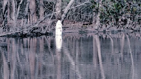 Witch on Water Stock Footage 78987918