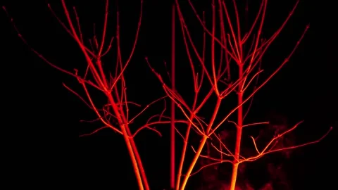 Witchcraft and magic wallpaper. Red bush and red smoke.Dark atmosphere. Stock Footage 299847292