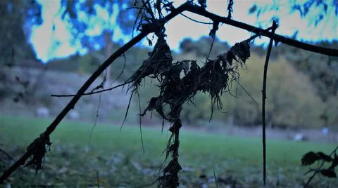 Witchcraft Fotos de archivo