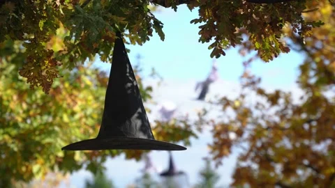 Witches hat dangles in the wind. halloween decoration hangs on the tree branch. Stock Footage 141823552