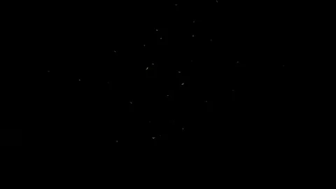 Withe Birds Seagulls Flying in the Dark Sky at Night Stock-Footage 93326083