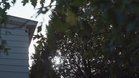 Withe home corner with sunlight passing trees Vídeo Stock 131061801