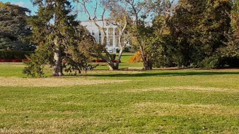 The withe house with the park in front Stock Photos