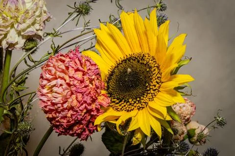 Withered bouquet of different flowers Stock Photos