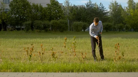 Withered bushes that were planted wrong Stock-Footage 114692520