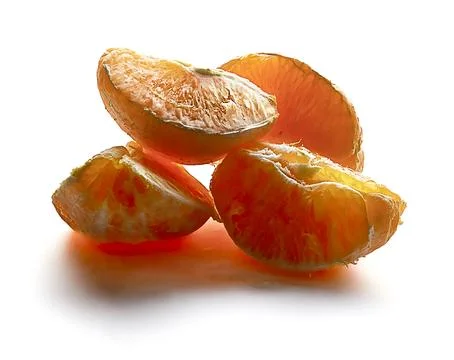 "Withered Citrus Elegance" Stock Photos