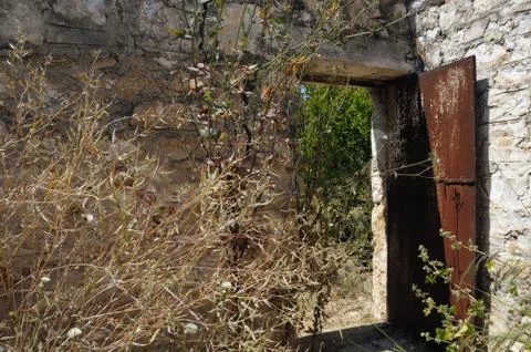 Withered garden Stock-Fotos