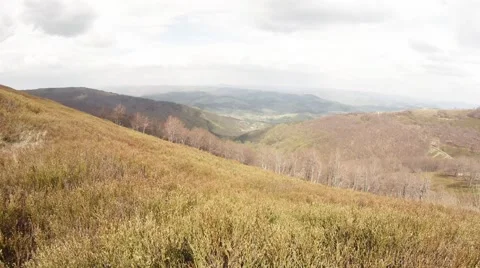Withered Grass Sways in the Wind on Huge Spaces of Mountains Stock Footage 63963440
