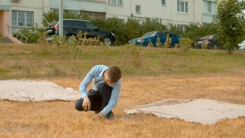 Withered lawn that were planted wrong 動画素材 114693428